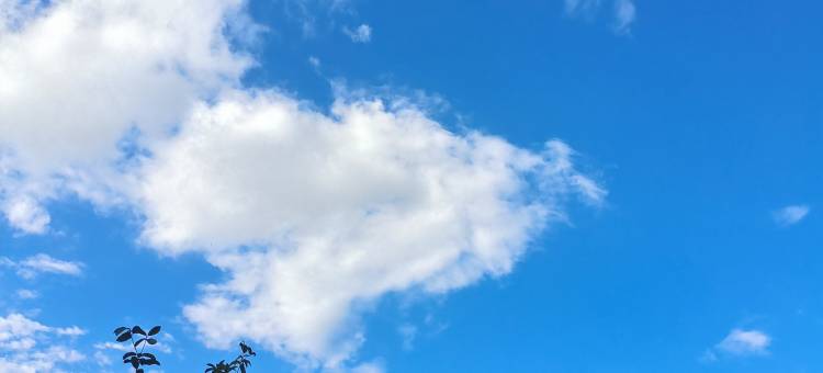 花筑·良栖民宿(潮州古城牌坊街店)图片