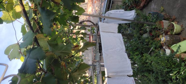 宣城静盟宾馆(宣城站店)图片