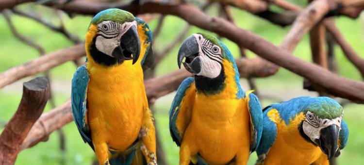 浮生六季·望山民宿酒店图片