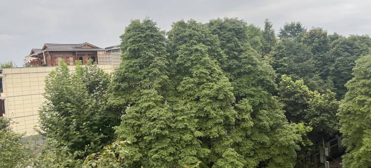 青城山品道·青城民宿图片