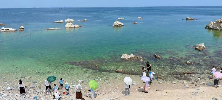 烟台养马岛和禾渔家乐图片