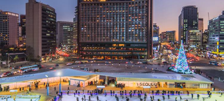 首尔广场傲途格精选酒店(The Plaza Seoul, Autograph Collection)图片