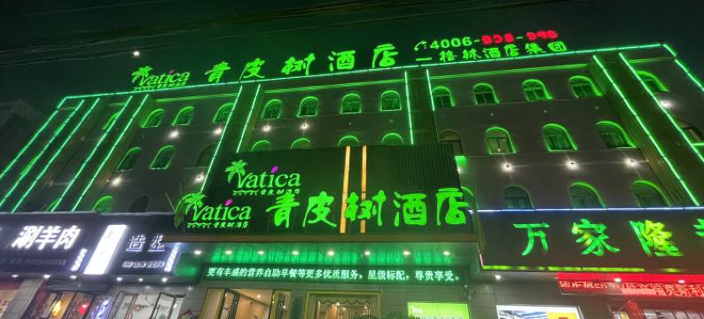 青皮树酒店(临泉姜子牙广场店)图片