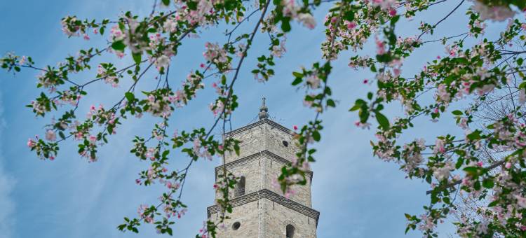 尚客优快捷酒店(京山城中路店)图片