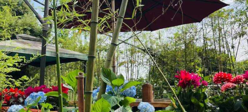 峨眉山竹韵小院(峨眉山报国寺店)图片