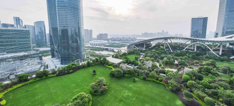 杭州国际博览中心北辰大酒店图片