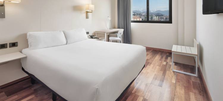 格拉纳达埃斯塔西翁住宿加早餐旅馆(B&B Hotel Granada Estación)图片