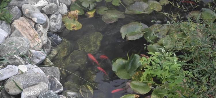 花筑·竹溪山居(泰山风景区店)图片