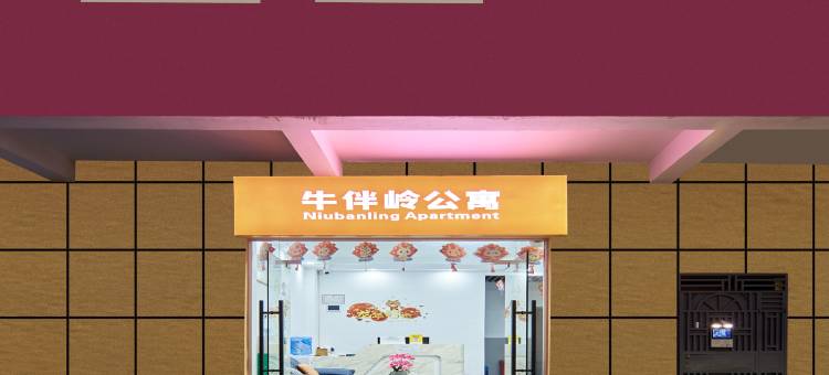 牛伴岭公寓(深圳坪山高铁站店)图片