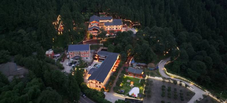 源山雅院·森林静逸民宿(雅安上里店)图片