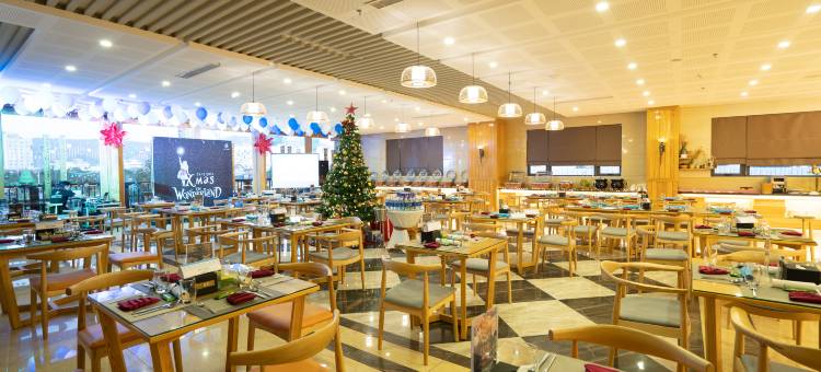 如明广场岘港酒店(Nhu Minh Plaza Danang Hotel)图片