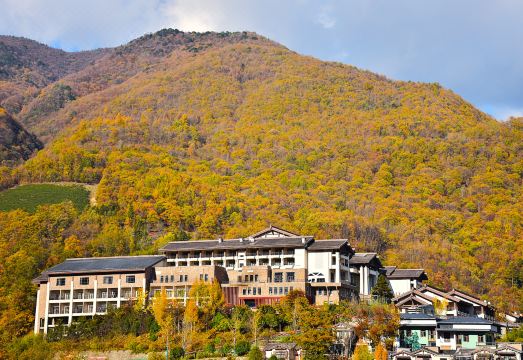 Arcadia International Forest Hotel Shennongjia Hotel Overview