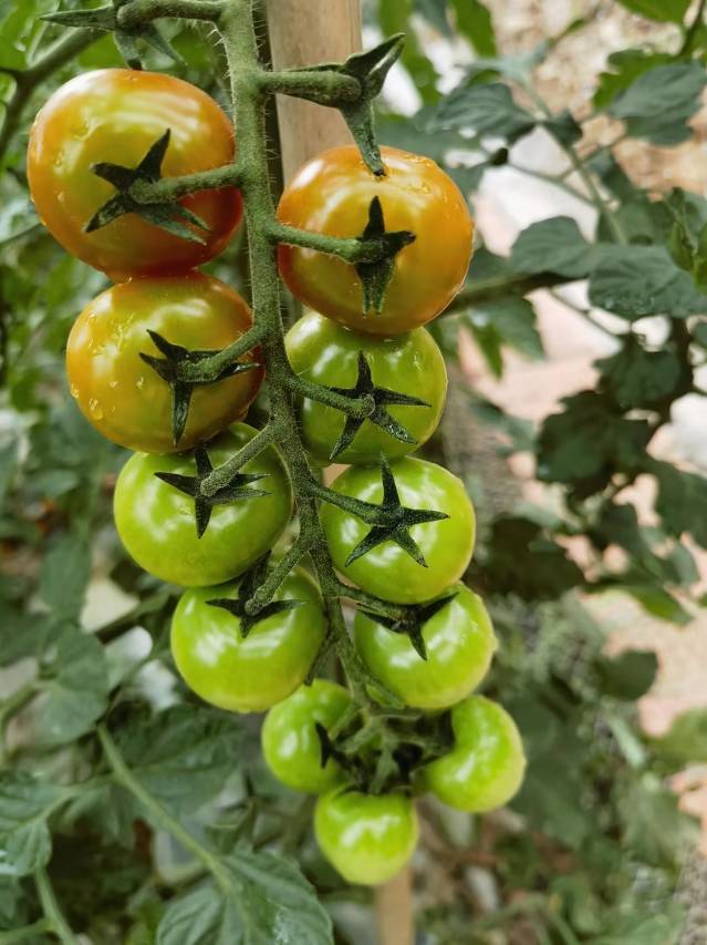 花筑奢·骊湖院民宿(镇江市句容仑山湖度假区店)图片