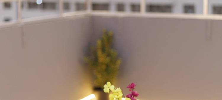 凤凰金字塔景观旅馆(Phoenix Pyramids View Inn)图片