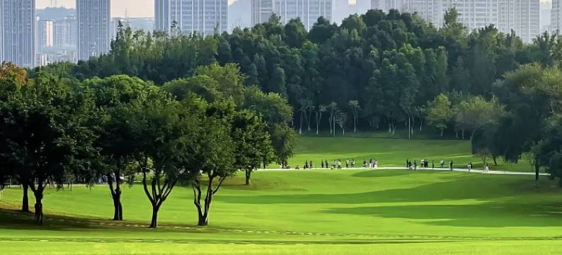 XEM希悦艺术酒店(重庆江北国际机场店)图片