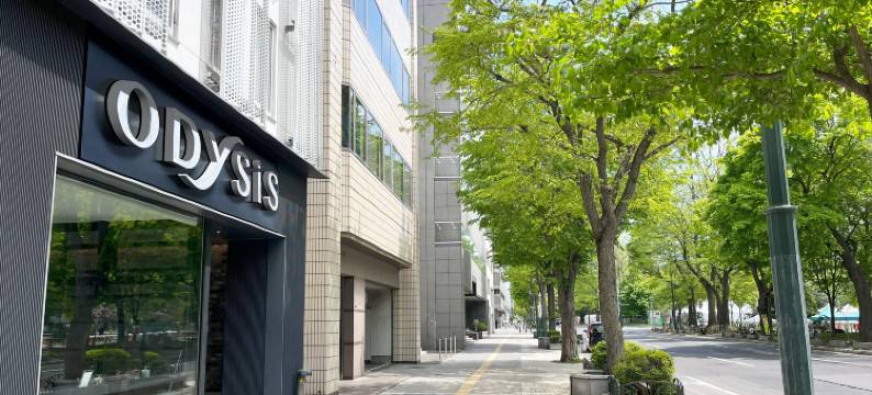 奥迪西斯札幌大通公园酒店(Odysis Sapporo Odori Koen Hotel)图片