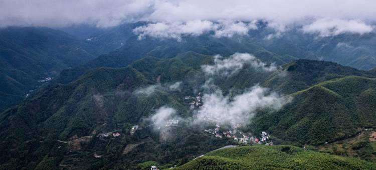 安吉饮山·Inn Hill 疗愈温泉度假民宿(江南天池店)图片