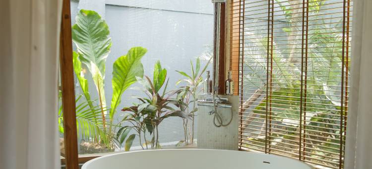 玛莫里豪斯阿特科兰岛(Mamori House at Koh Larn)图片