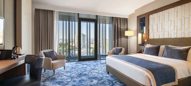 第比利斯爱乐美居酒店(Tbilisi Philharmonic by Mercure Hotel)图片