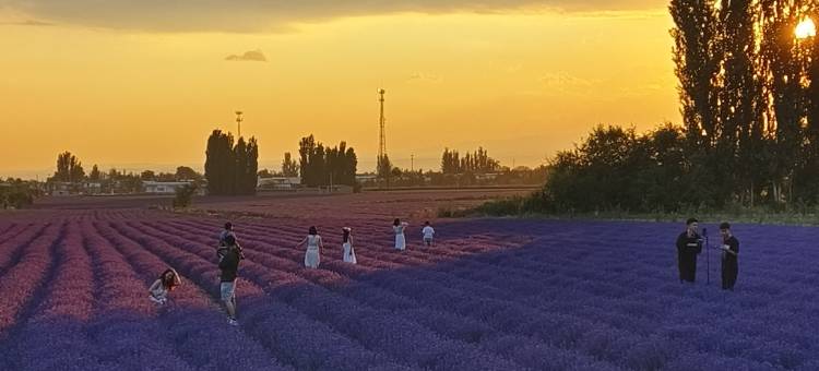树夏民宿(晃晃村店)图片