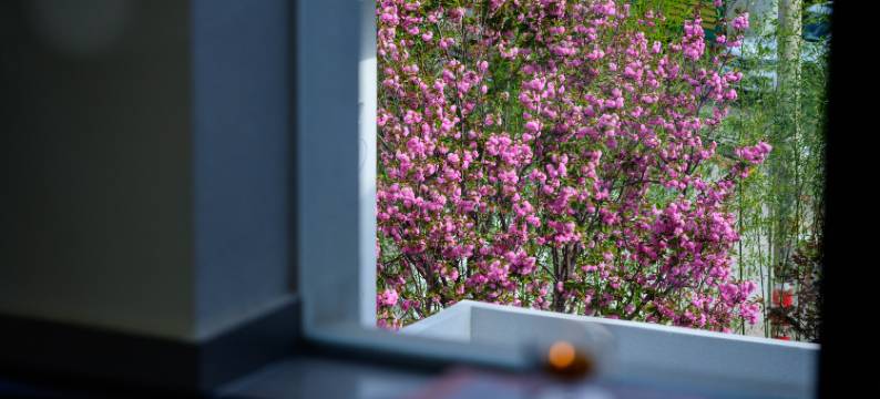 梵蒂空间·诧寂美学·VantiGdn度假庭院(丽江古城南门忠义市场店)图片