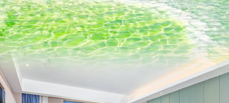 海西大柴旦像雅酒店图片