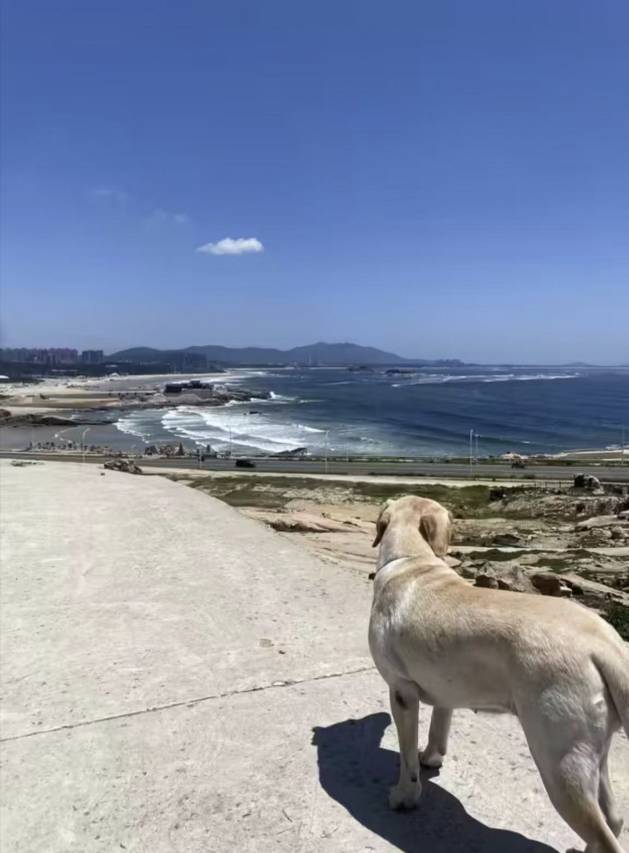 平潭龍栖观海居(龙王头沙滩店)图片