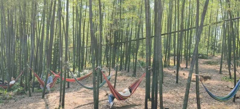 蜀南竹海竹之味客栈(海中海翡翠长廊店)图片