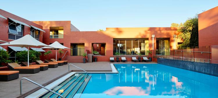 迷失骆驼酒店(The Lost Camel Hotel)图片