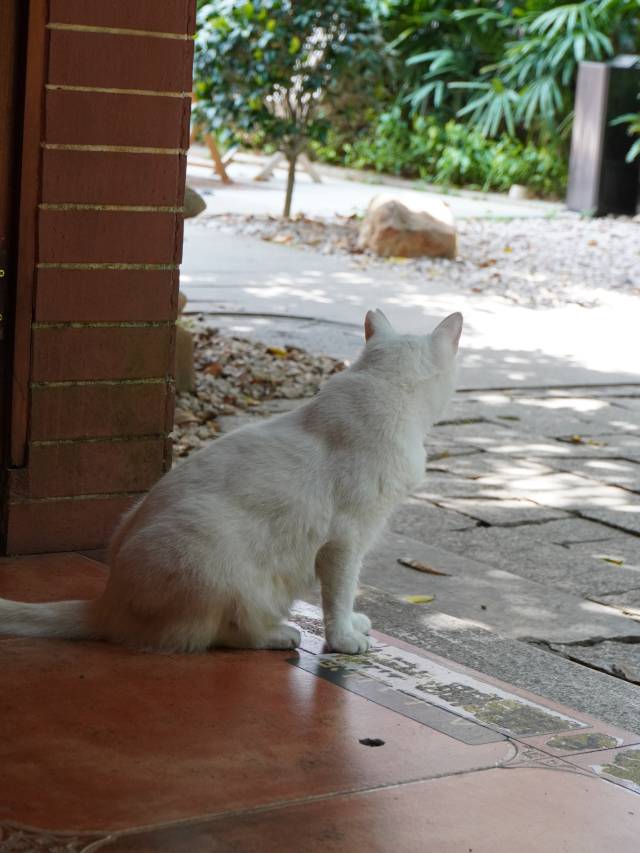 厦门钱公馆·1929百年民国别墅(中山路步行街镇海路地铁站店)图片
