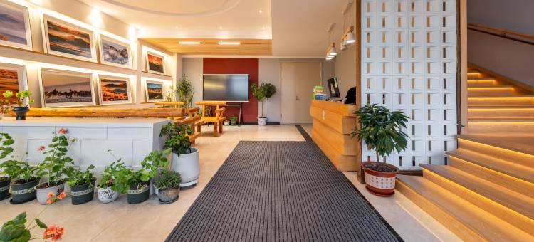 青草来信·花儿Retreat观景美宿(乌兰布统草原店)图片
