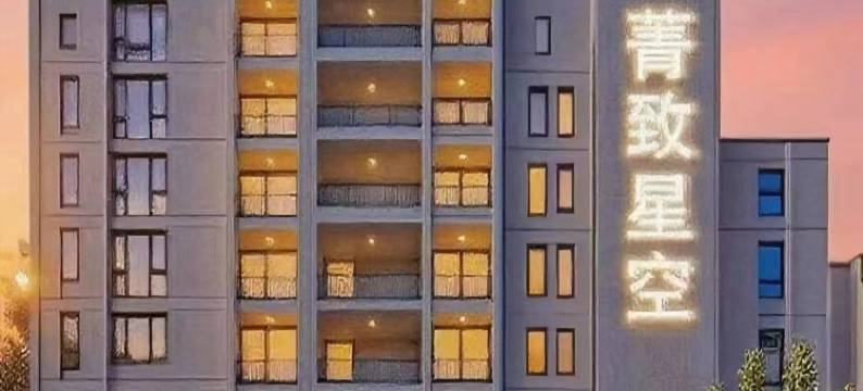 菁致星空酒店(成都天府国际机场店)图片