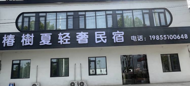 椿树夏轻奢民宿(合水路店)图片