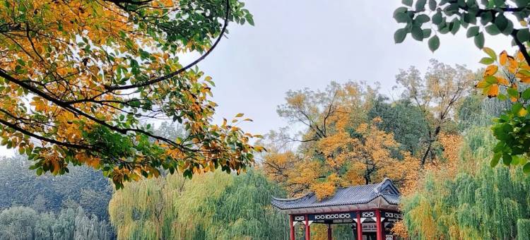 石家庄人民广场美居酒店图片