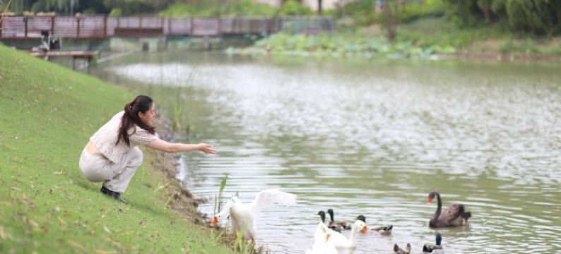 苏州东太湖大酒店图片