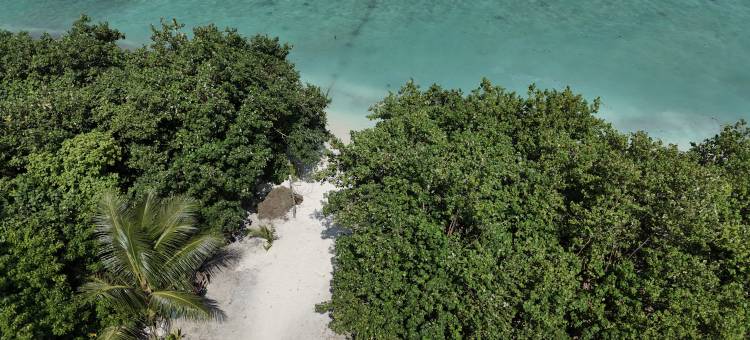 翼酒店 - 霍克斯酒店卡马杜巴环礁(Wings by Hawks Hotel Kamadhoo Baa Atoll)图片