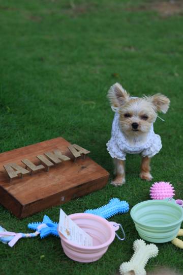 阿黎卡度假村(日月湾店)图片