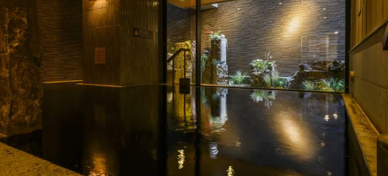 银座多美迎高级天然温泉酒店(多美迎・御宿野乃 酒店集团)(Dormy Inn Premium Ginza Natural Hot Spring)图片