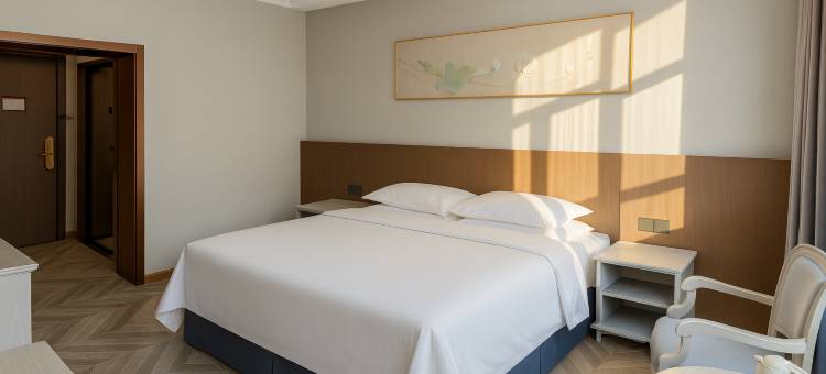 万象丽雅酒店(文化广场店)图片