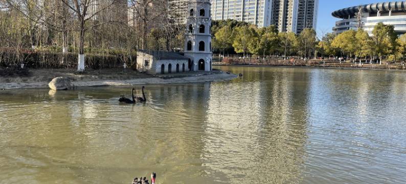 麗风酒店(襄阳长虹路万达广场店)图片