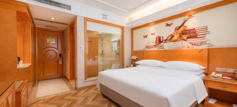 维也纳酒店(佛山顺德锦龙地铁站店)图片