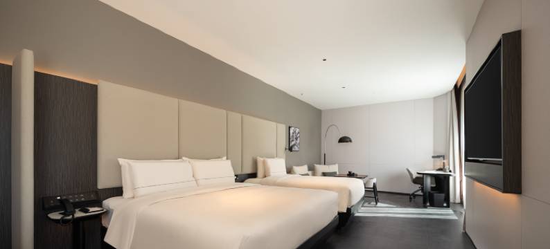 拉萨布达拉宫广场江苏路亚朵酒店图片