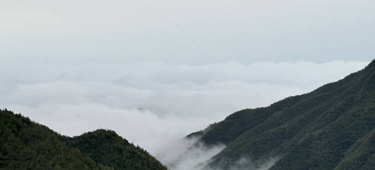 安吉过云山居民宿(云上草原店)图片