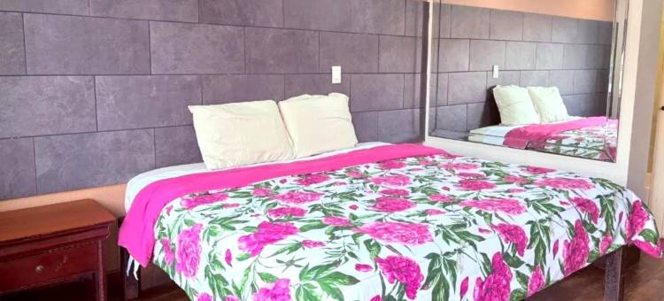 休斯顿丽晶酒店，靠近霍比机场(Regency Inn Houston Near Hobby Airport)图片