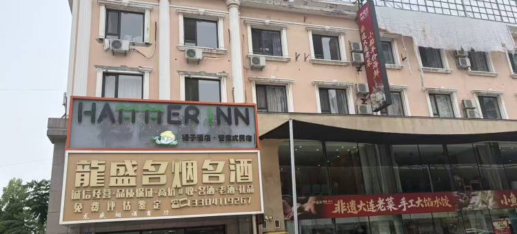 锤子管家式民宿图片