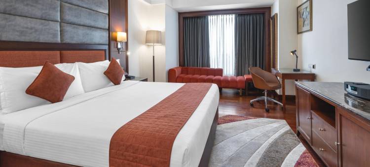 新德里爱神酒店(IHG旗下)(Eros Hotel New Delhi by IHG)图片