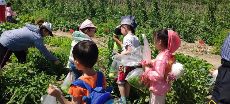 庐山西海·易水潺居民宿图片