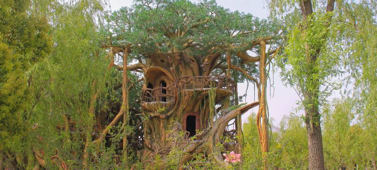 南通森迪部落树屋图片