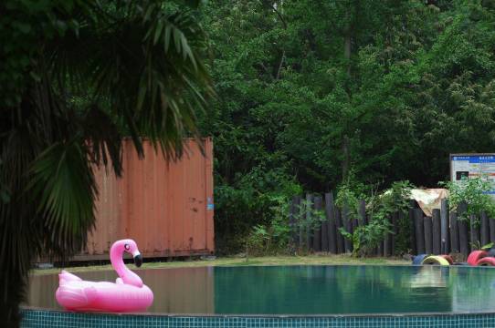 南山竹海叁朵花民宿图片