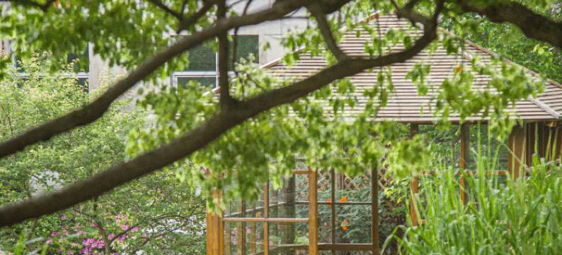 溧阳戴埠绿乡民宿图片